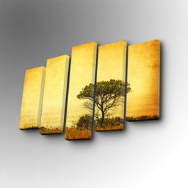 Wallity Cuadro Decorativo en Lienzo 5 Piezas 5PUC-125 Multicolor